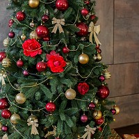 Merry Christmas from Logosoft